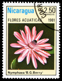Nicaragua 1981 Aquatic Flowers 2,50cor.jpg