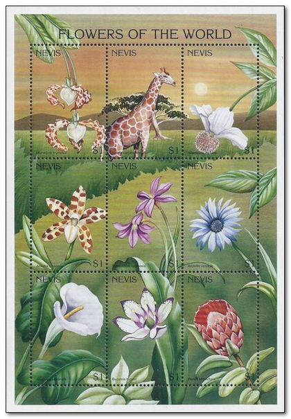 Nevis 1996 Flowers mm.jpg