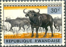 Rwanda 1964 Definitive Issues - Animals - Overprinted 30c.jpg
