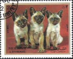 Sharjah 1972 Cats - Kittens 2R.jpg
