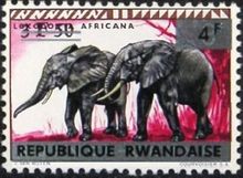 Rwanda 1964 Definitive Issues - Animals - Overprinted 4F.jpg
