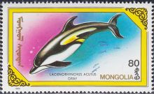 Mongolia 1990 Whales and Dolphins 80.jpg
