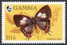 Gambia 1994 Butterflies 15.jpg