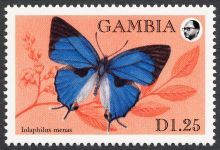 Gambia 1994 Butterflies 1-25.jpg