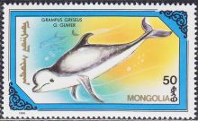 Mongolia 1990 Whales and Dolphins 50.jpg