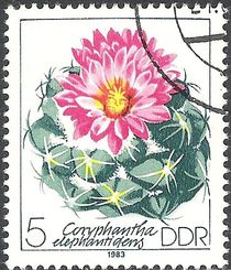Germany-DDR 1983 Cacti Flowers 5pf.jpg
