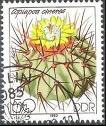 Germany-DDR 1983 Cacti Flowers 50pf.jpg