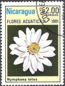 Nicaragua 1981 Aquatic Flowers 2cor.jpg