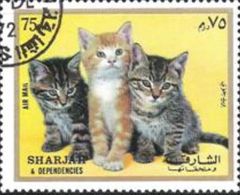 Sharjah 1972 Cats - Kittens 75dh.jpg