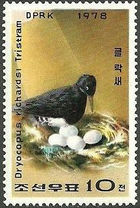 Korea (North) 1978 Birds - Tristram's Woodpecker 10ch.jpg