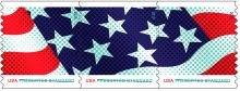 United States of America 2015 Stars and Stripes Definitive a.jpg