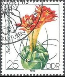 Germany-DDR 1983 Cacti Flowers 25pf.jpg