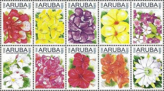 Aruba 2011 Flowers a.jpg