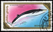 Mongolia 1990 Whales and Dolphins 20.jpg