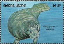 Sierra Leone 1990 Local Wildlife p.jpg