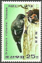 Korea (North) 1978 Birds - Tristram's Woodpecker 25ch.jpg