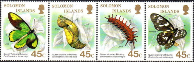 Solomon Islands 1987 Butterflies a.jpg