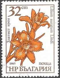 Bulgaria 1986 Garden Flowers 32sc.jpg