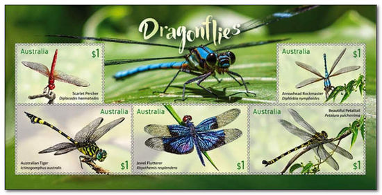 Australia 2017 Dragonflies ms.jpg