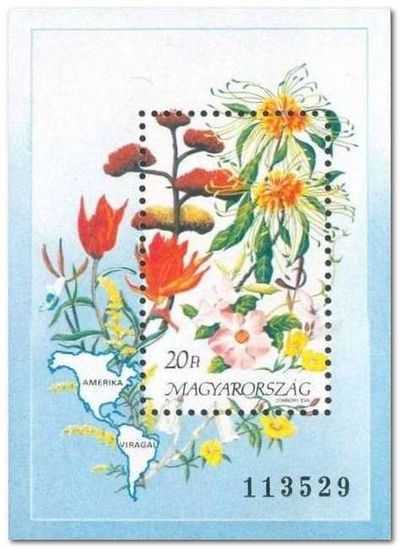 Hungary 1991 Flowers of the Americas ms.jpg