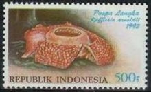 Indonesia 1992 Flowers b.jpg