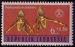 Indonesia 1962 Orchids d.jpg