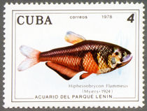 Cuba 1978 Fish in Lenin Park Aquarium (series II) 4c.jpg