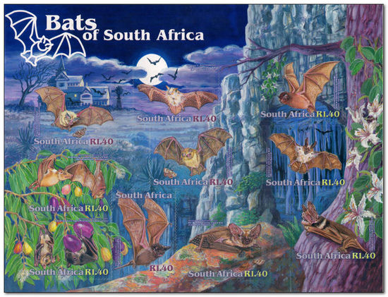 South Africa 2001 Bats a.jpg