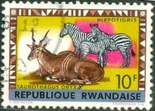 Rwanda 1964 Definitive Issues - Animals - Overprinted 10F.jpg